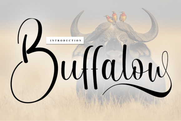 Why Buffalow is the Handwritten Font Your Brand Needs